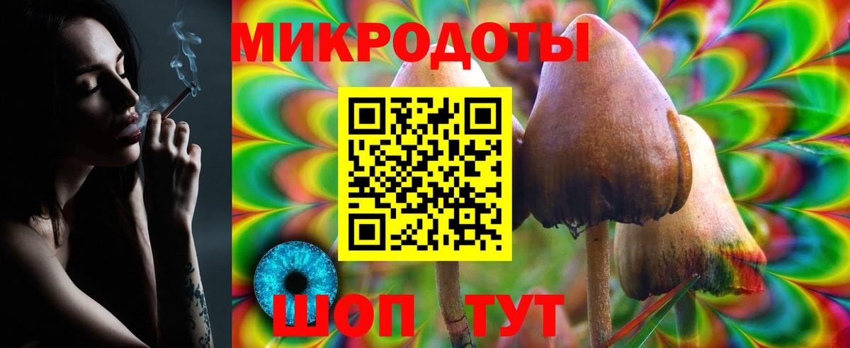 Пушкино  Псилоцибиновые грибы ЛСД  Вход с VPN  Псилоцибиновые грибы GOLDEN TEACHER 